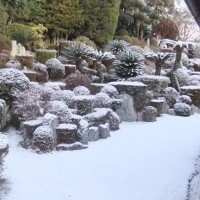 雪化粧01