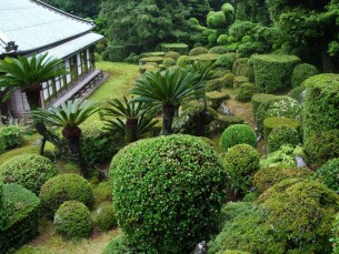 庭園 築山の上から