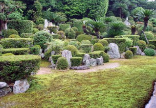 枯山水の庭園　客殿西側（5月下旬）