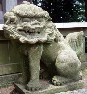 tinnjyudoukomainu11